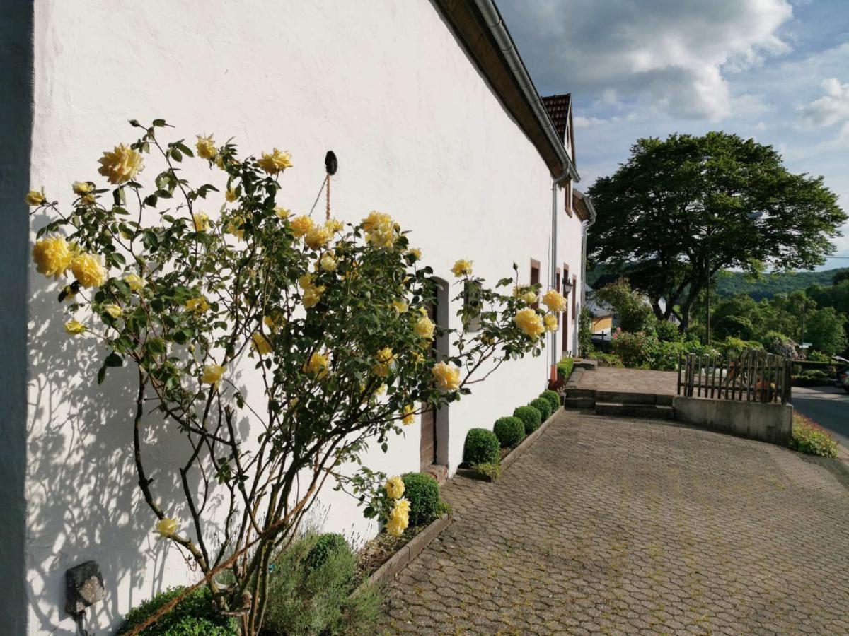 Ferienhaus Vulkaneifel Landhaus Loogh Kerpen  ภายนอก รูปภาพ