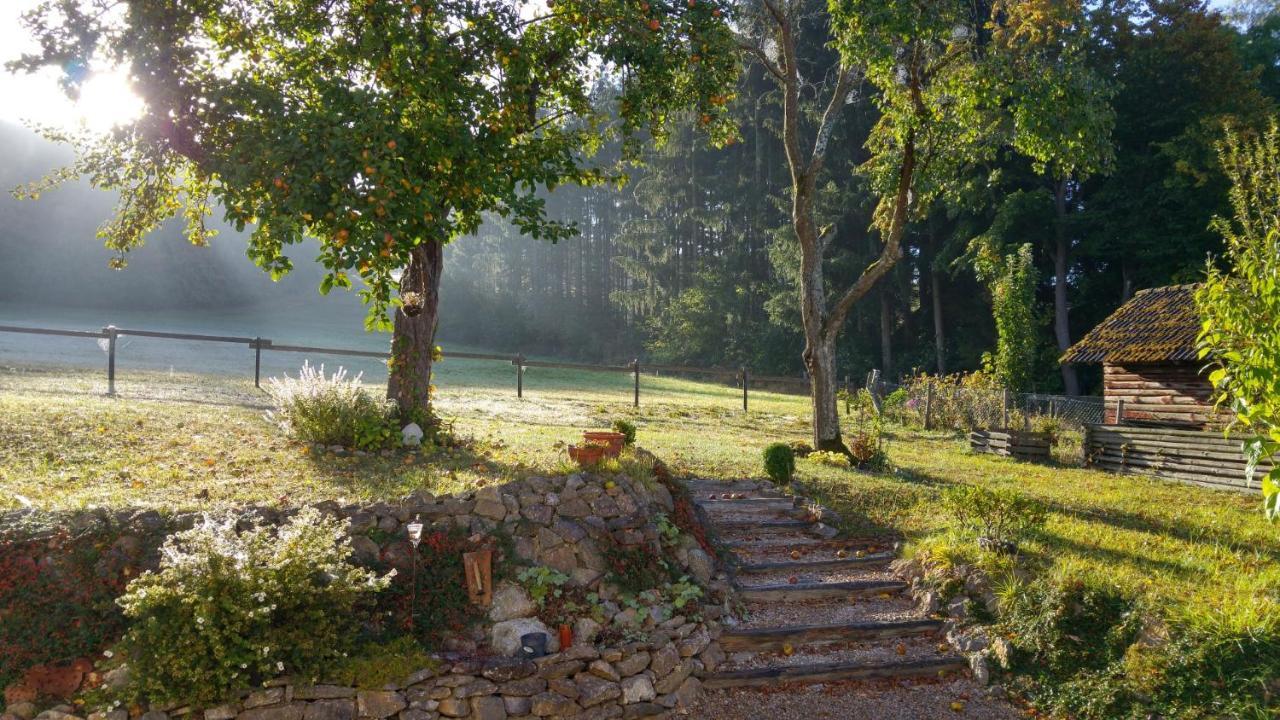 Ferienhaus Vulkaneifel Landhaus Loogh Kerpen  ภายนอก รูปภาพ