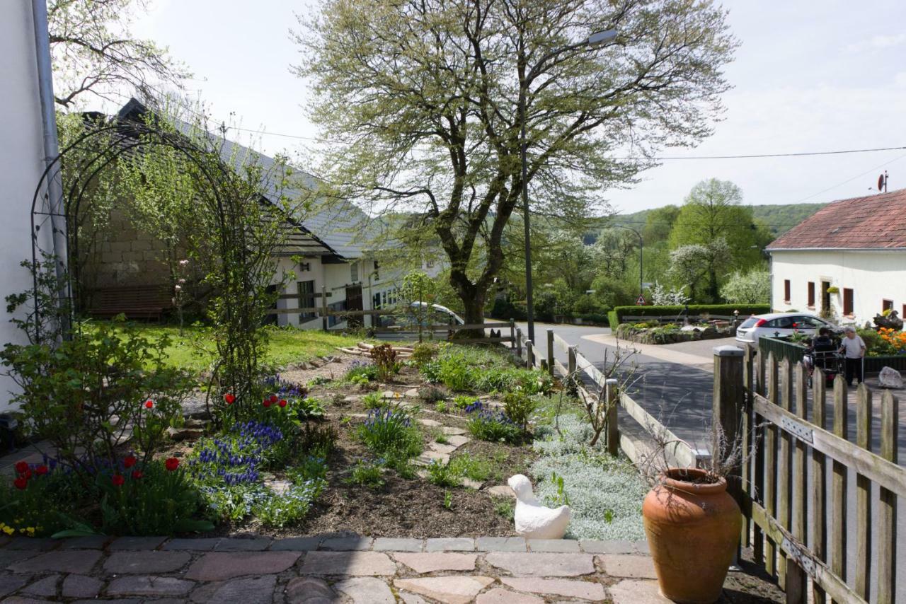 Ferienhaus Vulkaneifel Landhaus Loogh Kerpen  ภายนอก รูปภาพ
